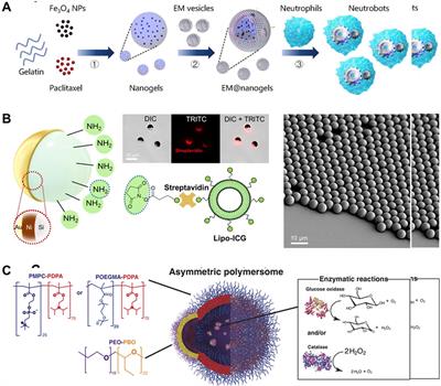 Micro/nanorobots for gastrointestinal tract